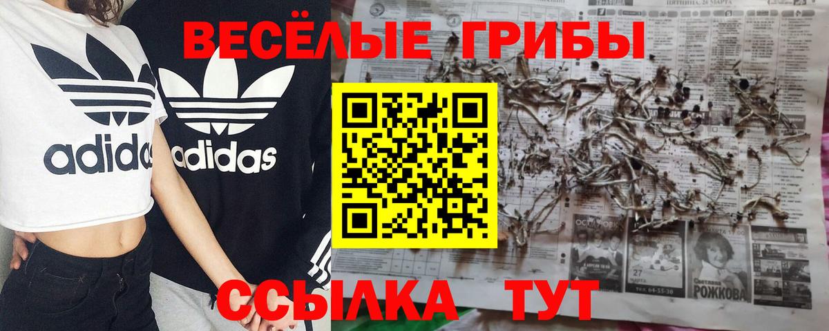 Калуга  Псилоцибиновые грибы MAGIC MUSHROOMS  Галлюциногенные грибы MAGIC MUSHROOMS  Вход с VPN 